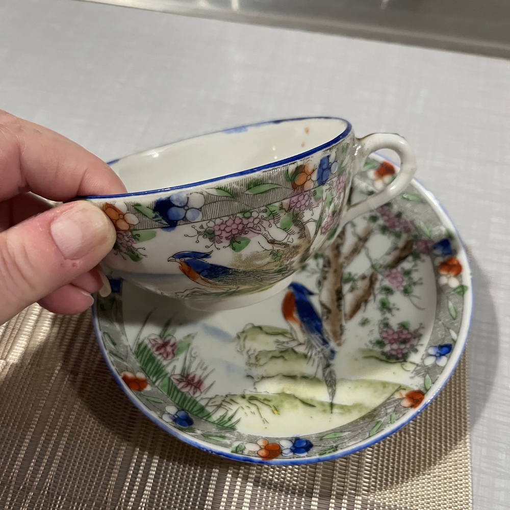 Colorful Bird Motif Teacup and Saucer Set
